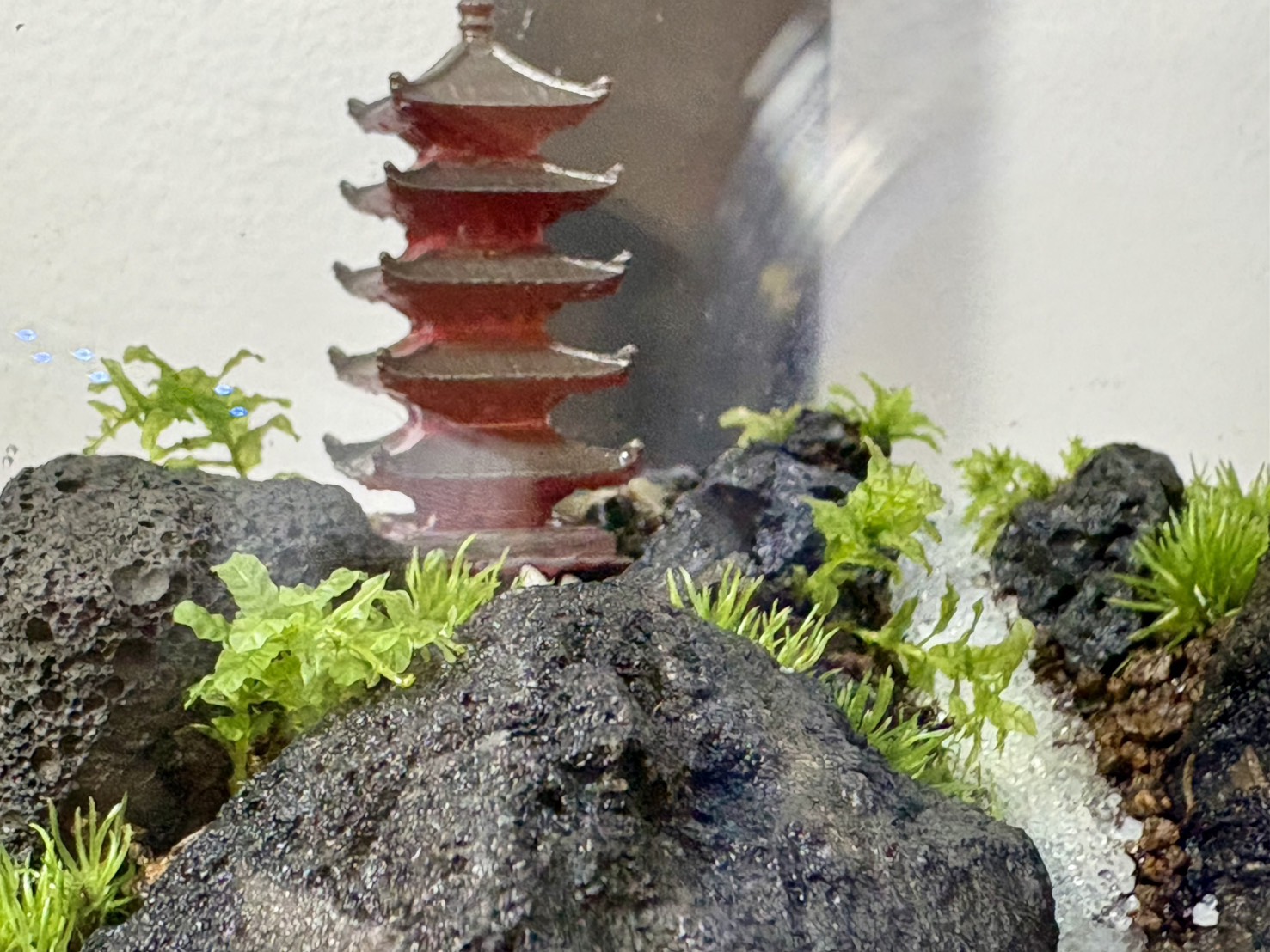 五重塔を配した苔テラリウム